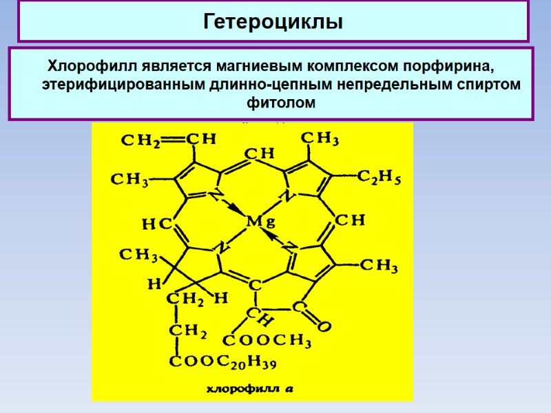 Гетероциклы Хлорофилл является магниевым комплексом порфирина, этерифицированным длинно-цепным непредельным спиртом фитолом